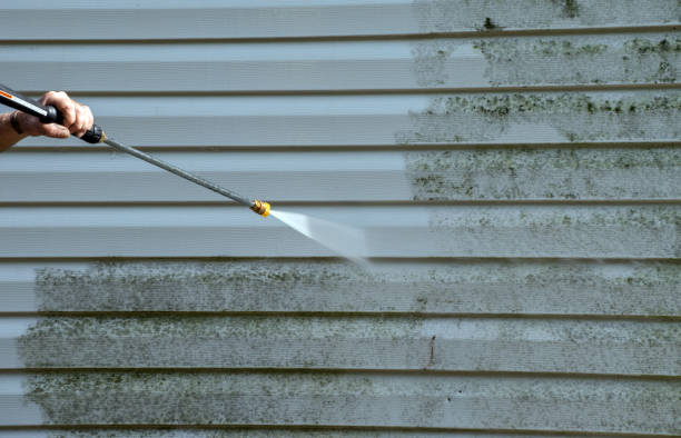 Attic Mold Removal in Shorewood Tower Hills Harbert, MI