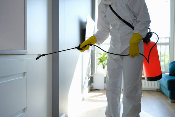 Best Certified Mold Removal  in Shorewood Tower Hills Harbert, MI