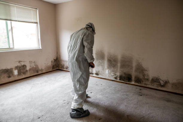 Best Mold Testing  in Shorewood Tower Hills Harbert, MI